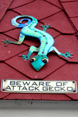 Gecko Store